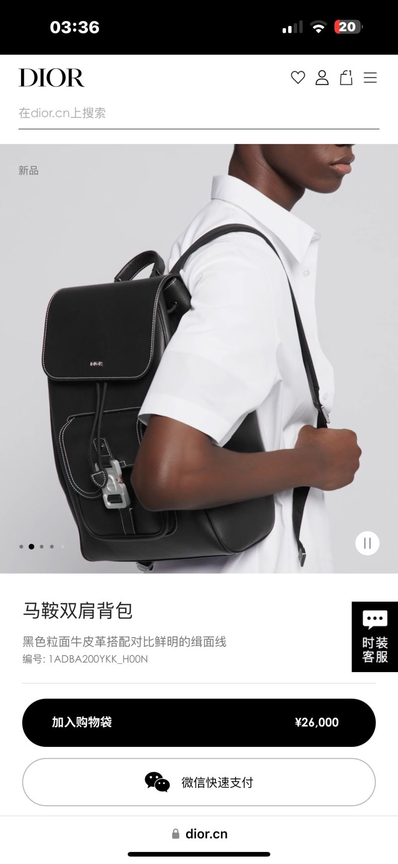 Christian Dior Backpacks